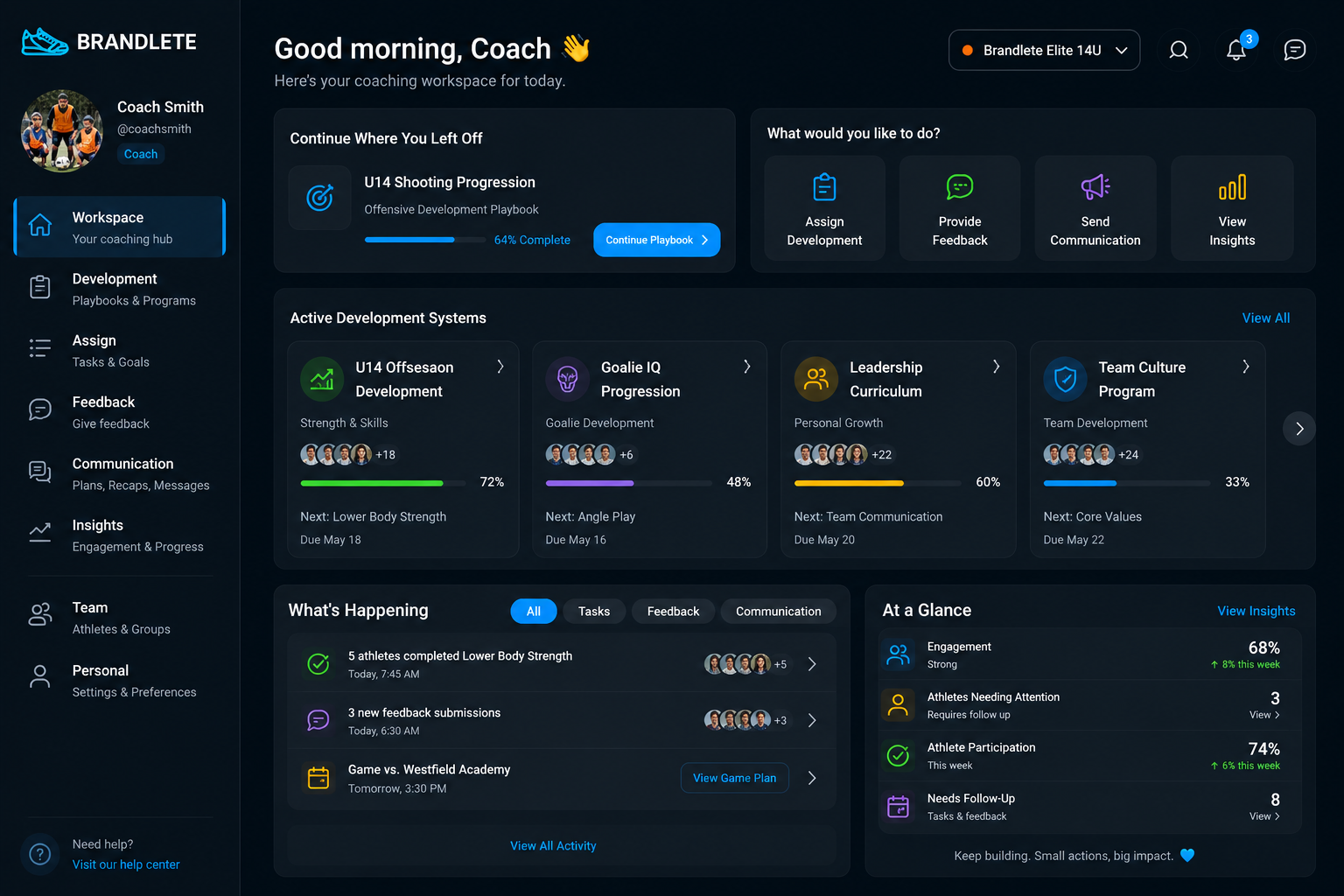 Brandlete Coach Hub showing active development systems and at-a-glance KPIs.